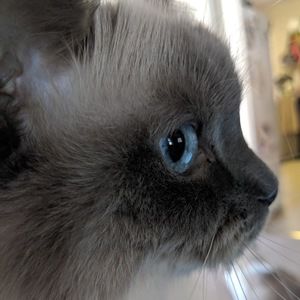 Meet your Posher, Denise